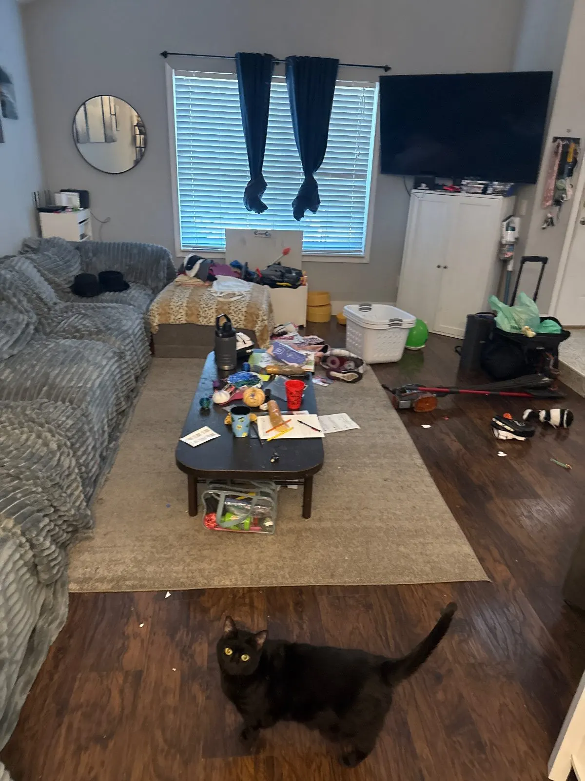 Before — House Cleaning in Citrus Heights, CA — October 2026