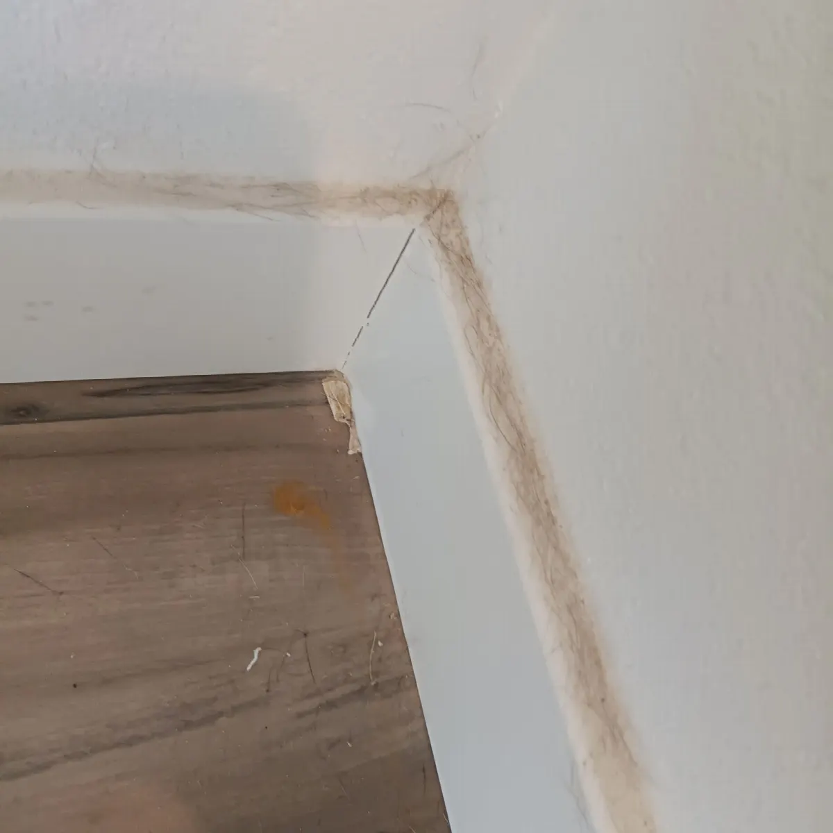 Before — House Cleaning in West Sacramento, CA — October 2026