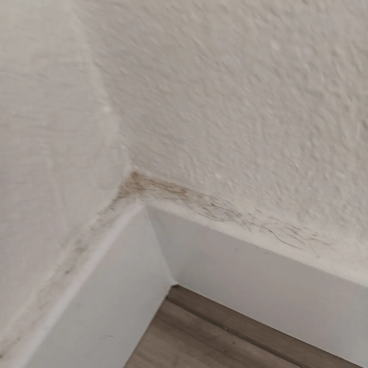 Before — House Cleaning in West Sacramento, CA — October 2026