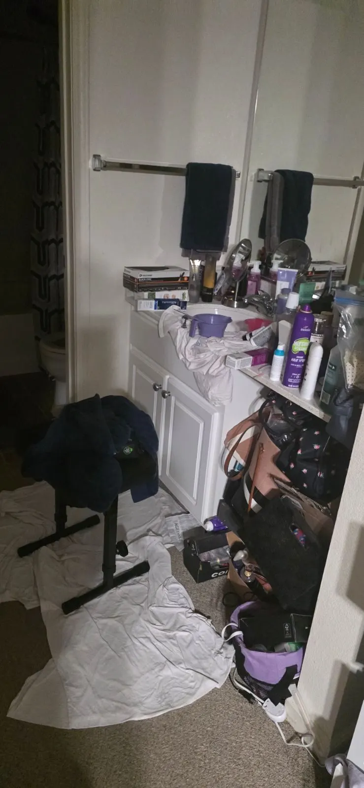 Before — House Cleaning in Roseville, CA — October 2026