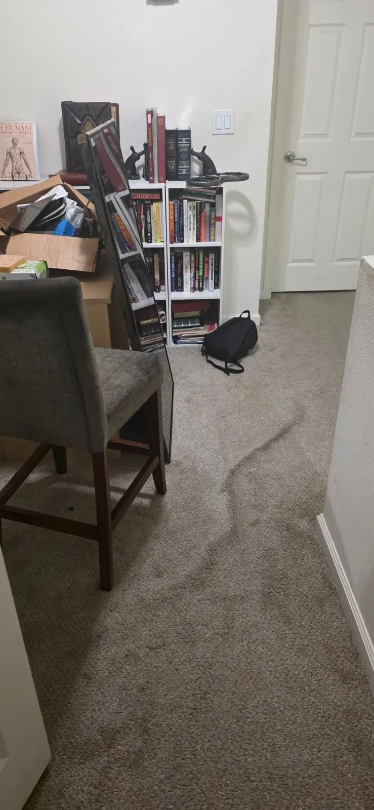 Before — House Cleaning in Roseville, CA — October 2026