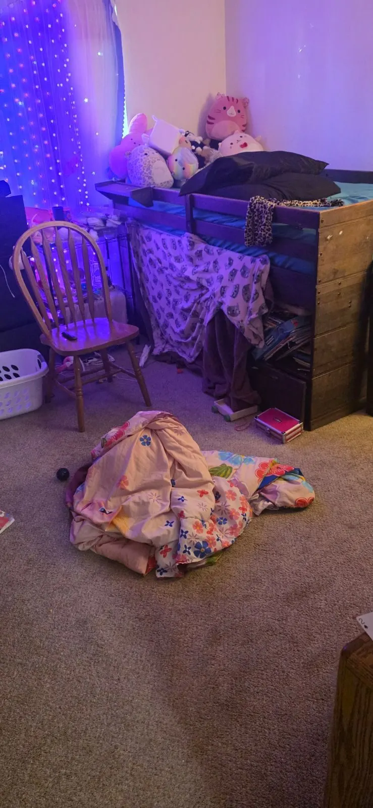 Before — House Cleaning in Roseville, CA — October 2026