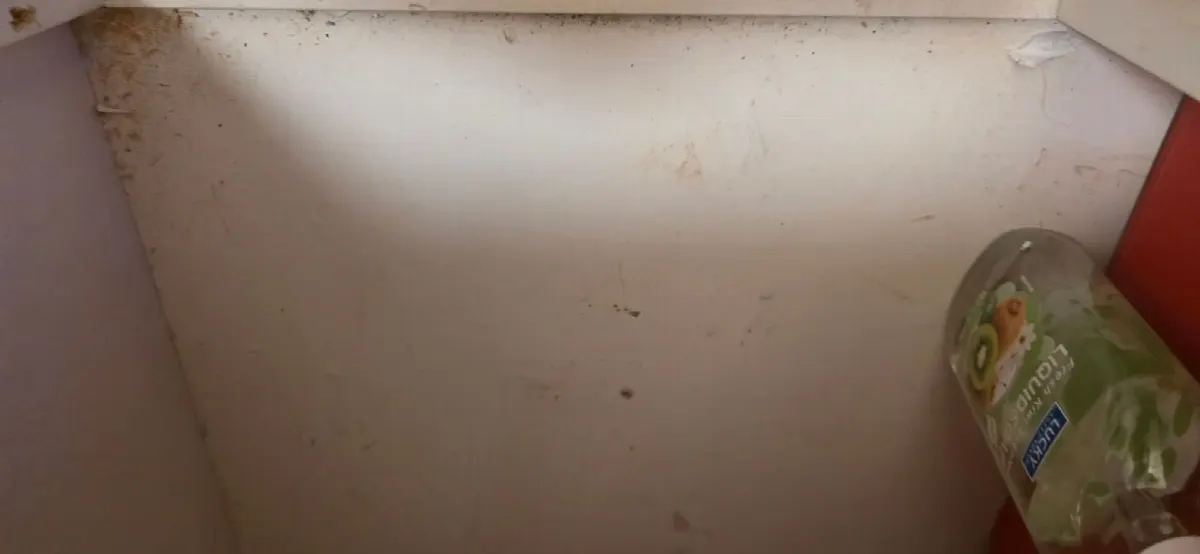 Before — House Cleaning in Roseville, CA — October 2026