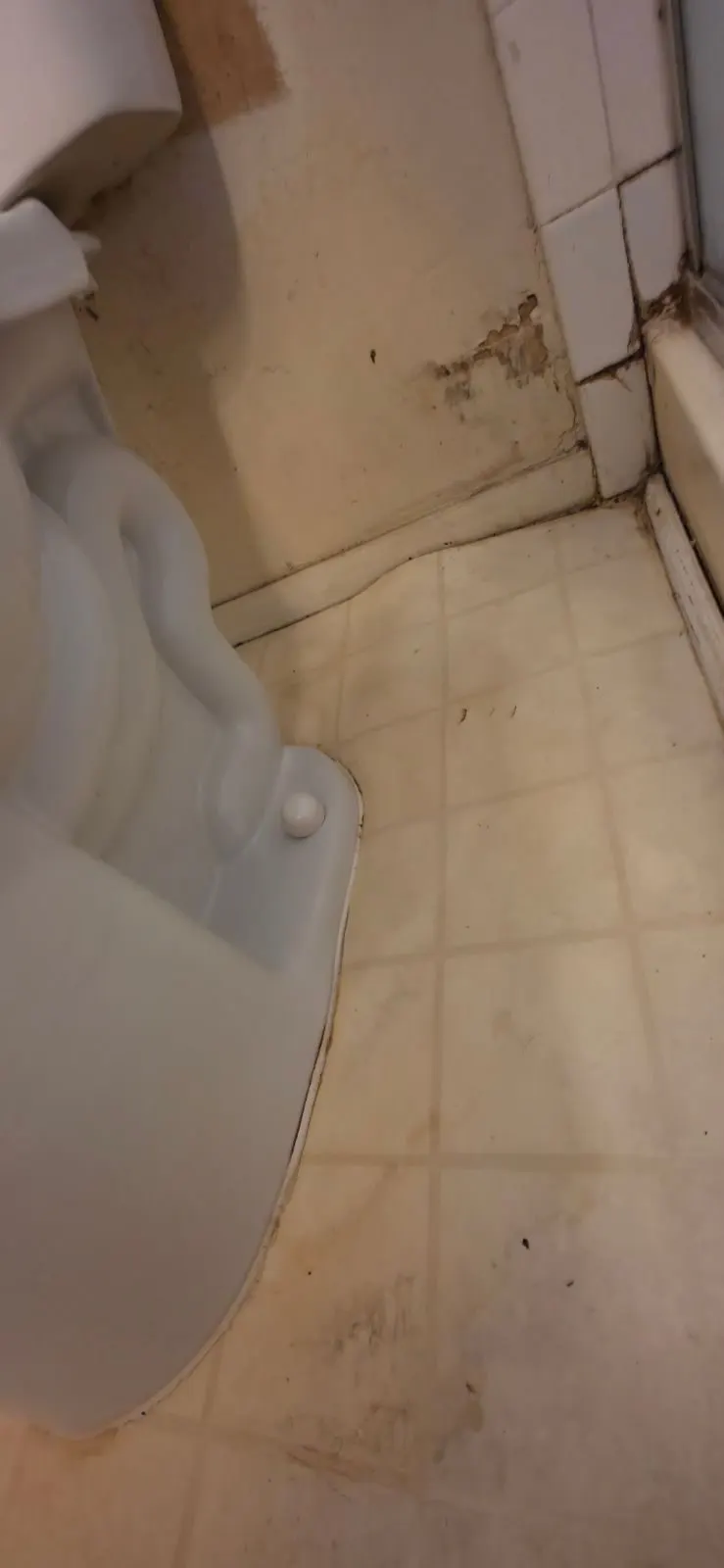 After — House Cleaning in Sacramento, CA — July 2026