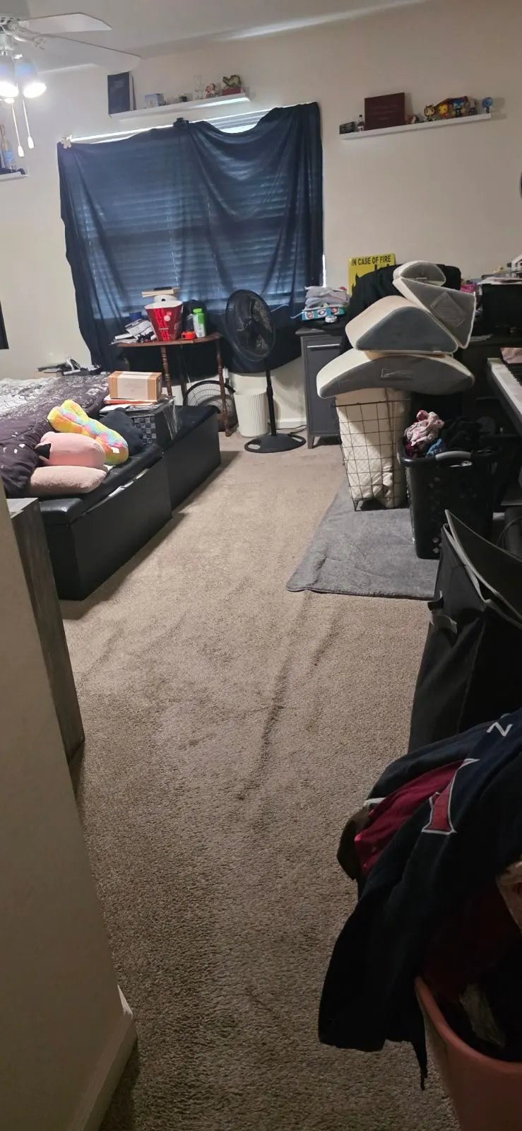 After — House Cleaning in Roseville, CA — October 2026