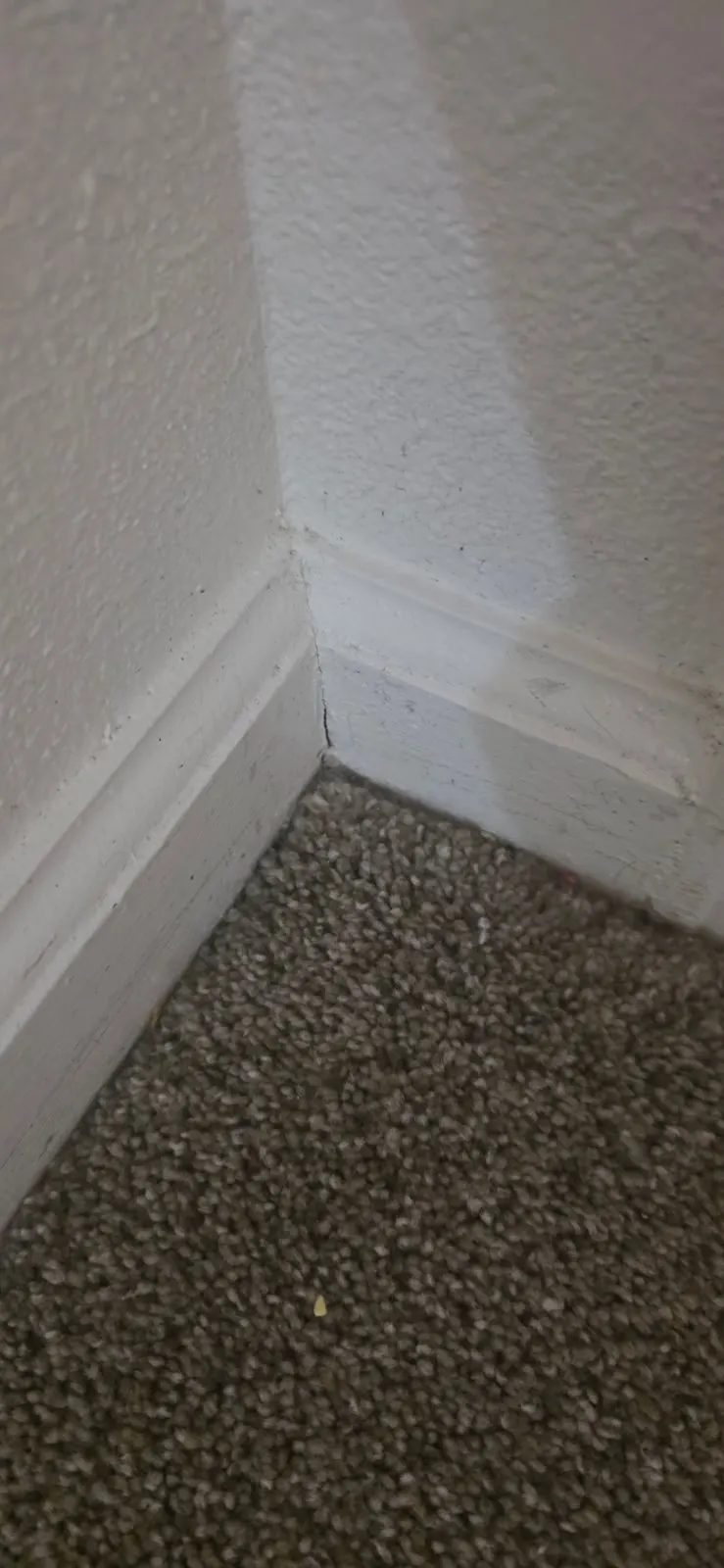 After — House Cleaning in Roseville, CA — October 2026