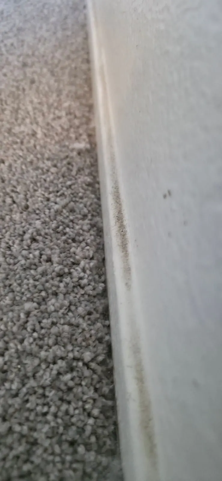 Before — House Cleaning in North Highlands, CA — July 2026