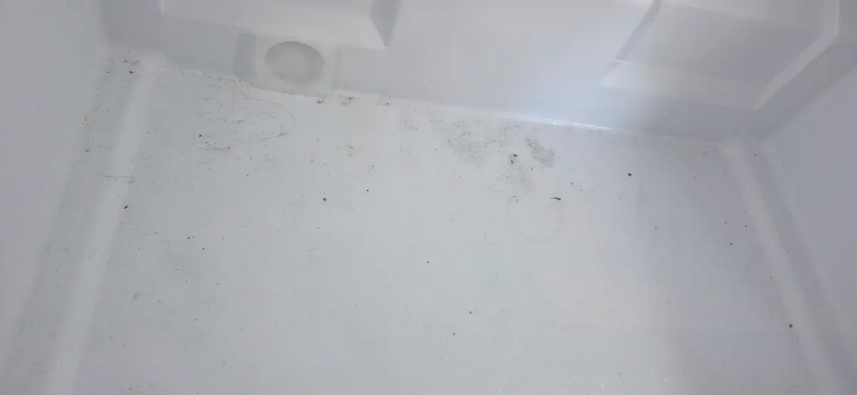 Before — House Cleaning in North Highlands, CA — July 2026