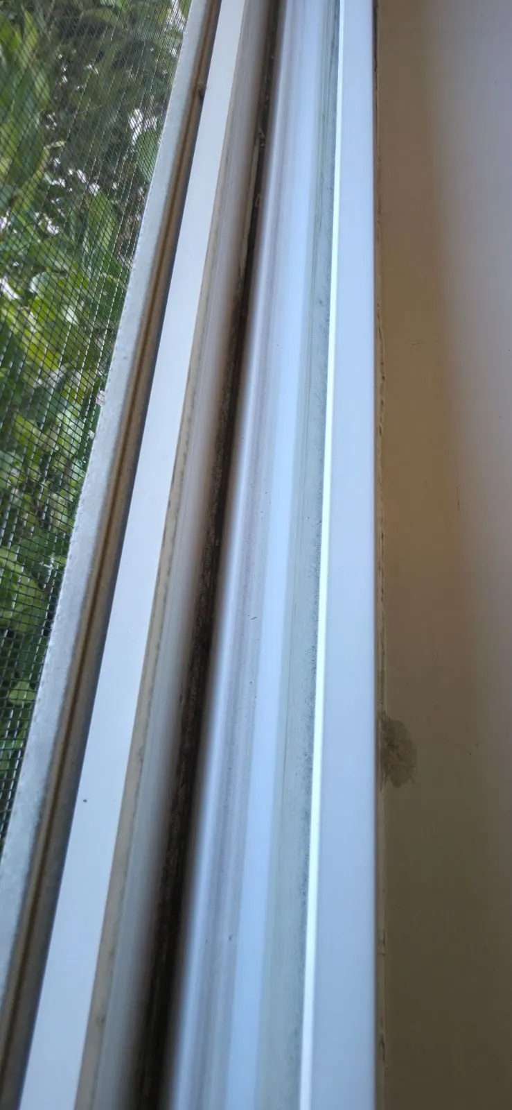 After — House Cleaning in North Highlands, CA — July 2026