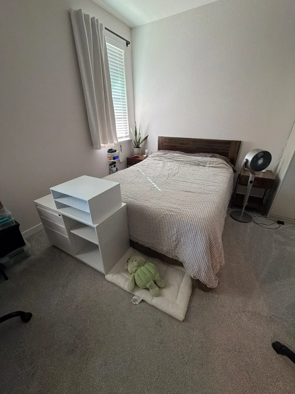 After — House Cleaning in Roseville, CA — October 2026