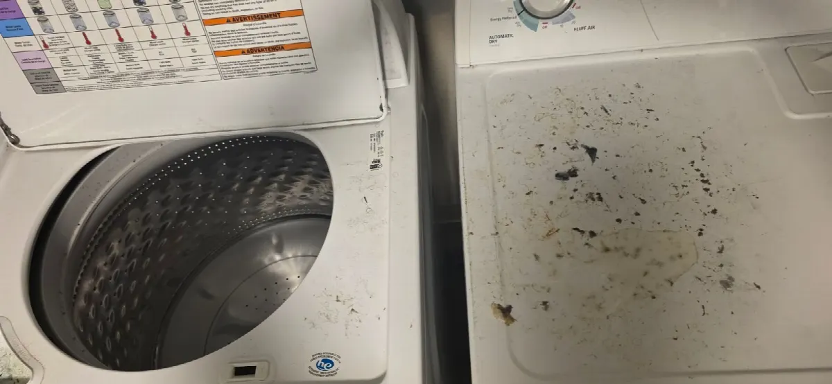 Before — House Cleaning in Sacramento, CA — October 2026
