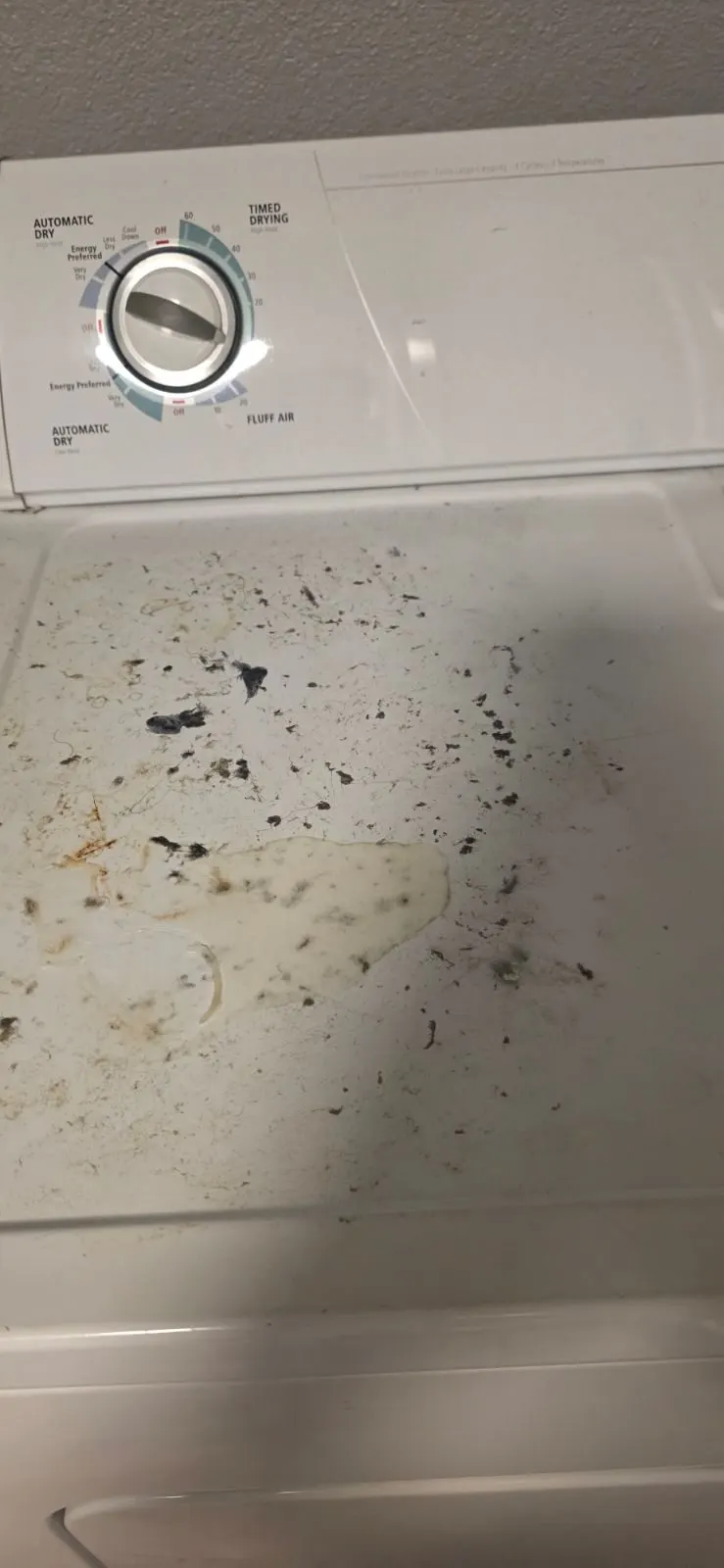 Before — House Cleaning in Sacramento, CA — October 2026