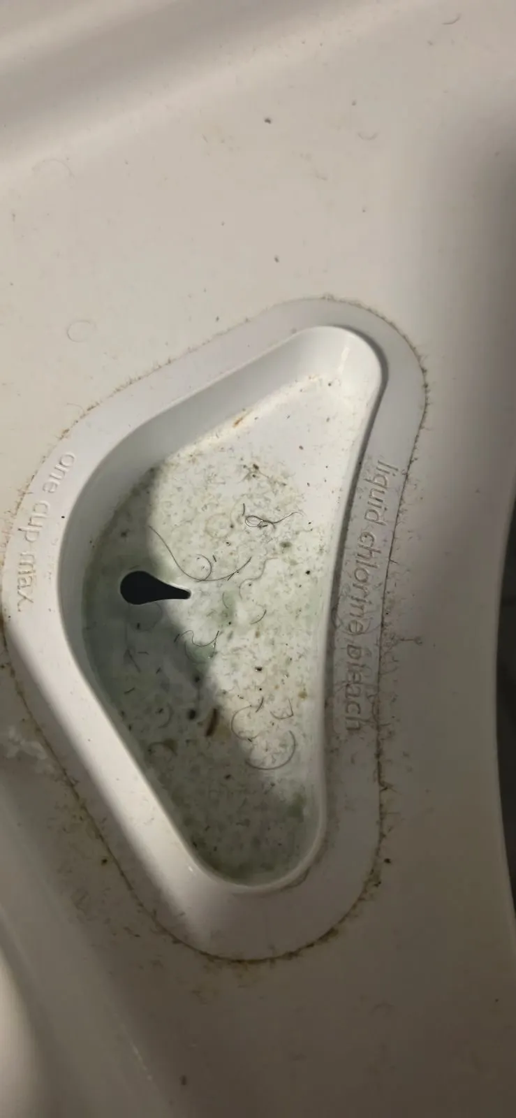 Before — House Cleaning in Sacramento, CA — October 2026