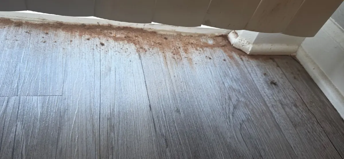 Before — House Cleaning in Sacramento, CA — October 2026