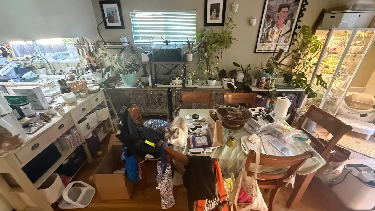 Before — House Cleaning in Davis, CA — October 2026