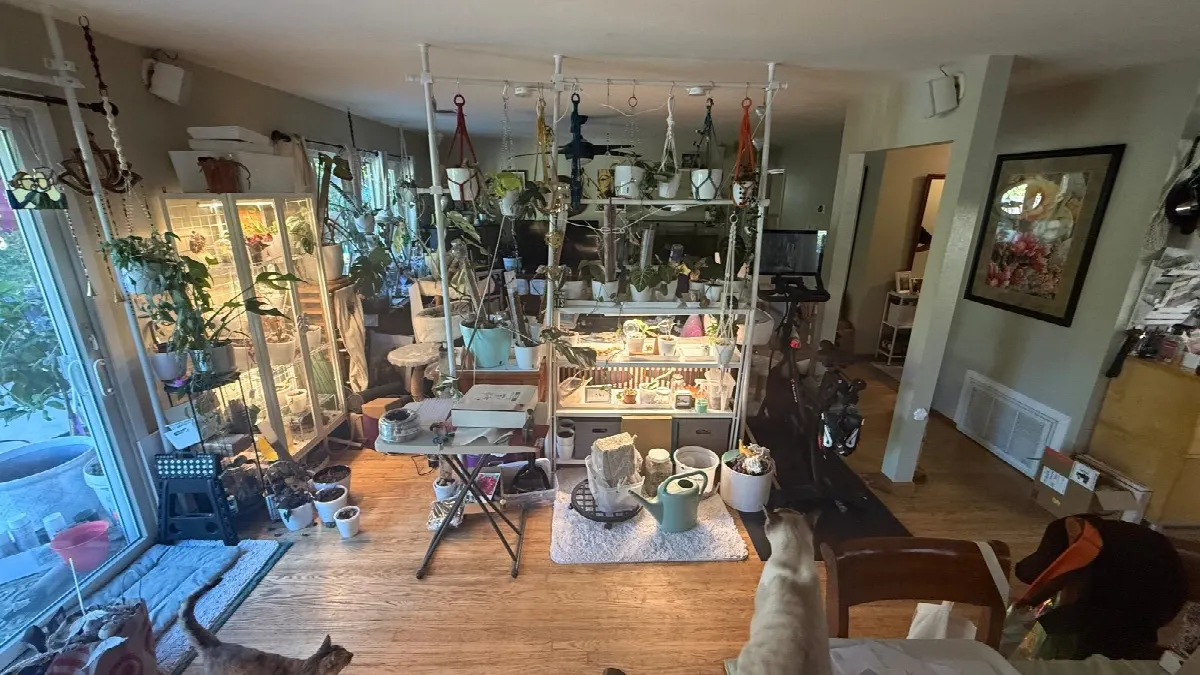 Before — House Cleaning in Davis, CA — October 2026