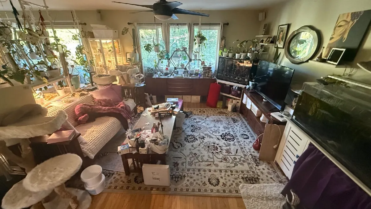 Before — House Cleaning in Davis, CA — October 2026