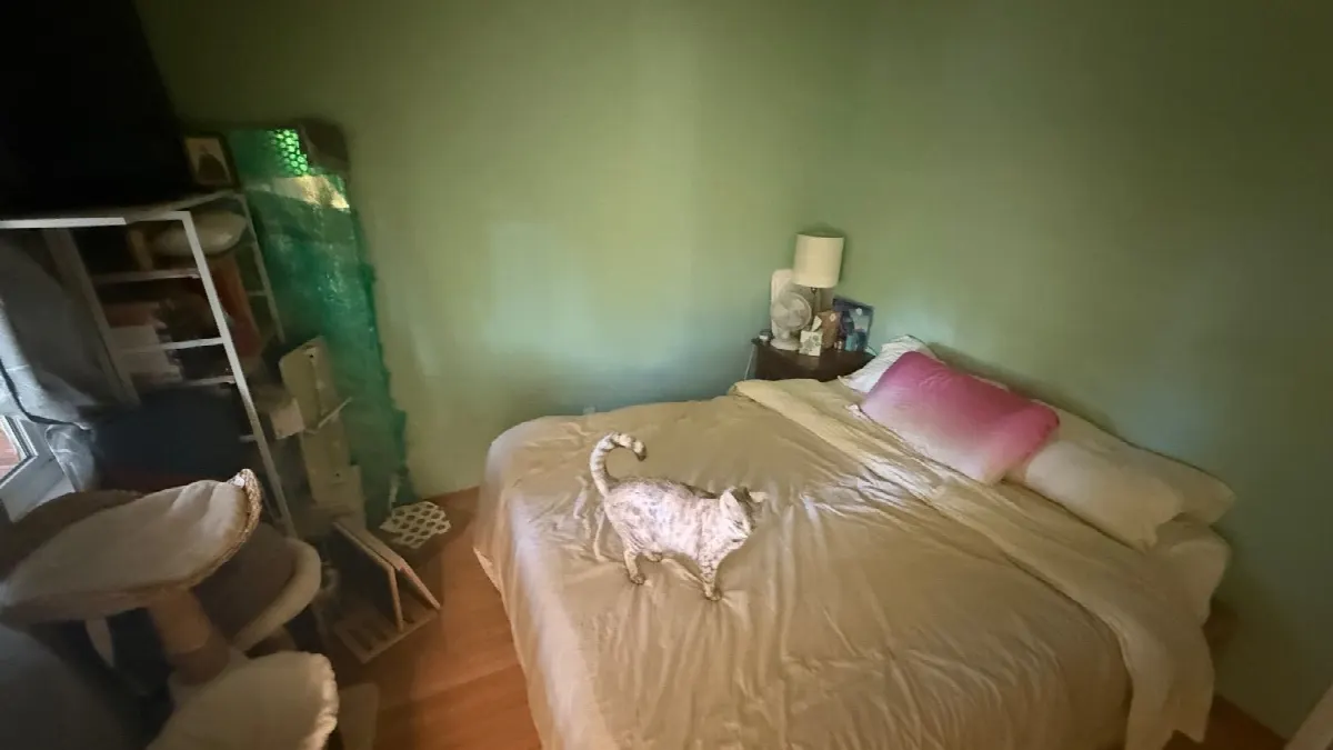Before — House Cleaning in Davis, CA — October 2026