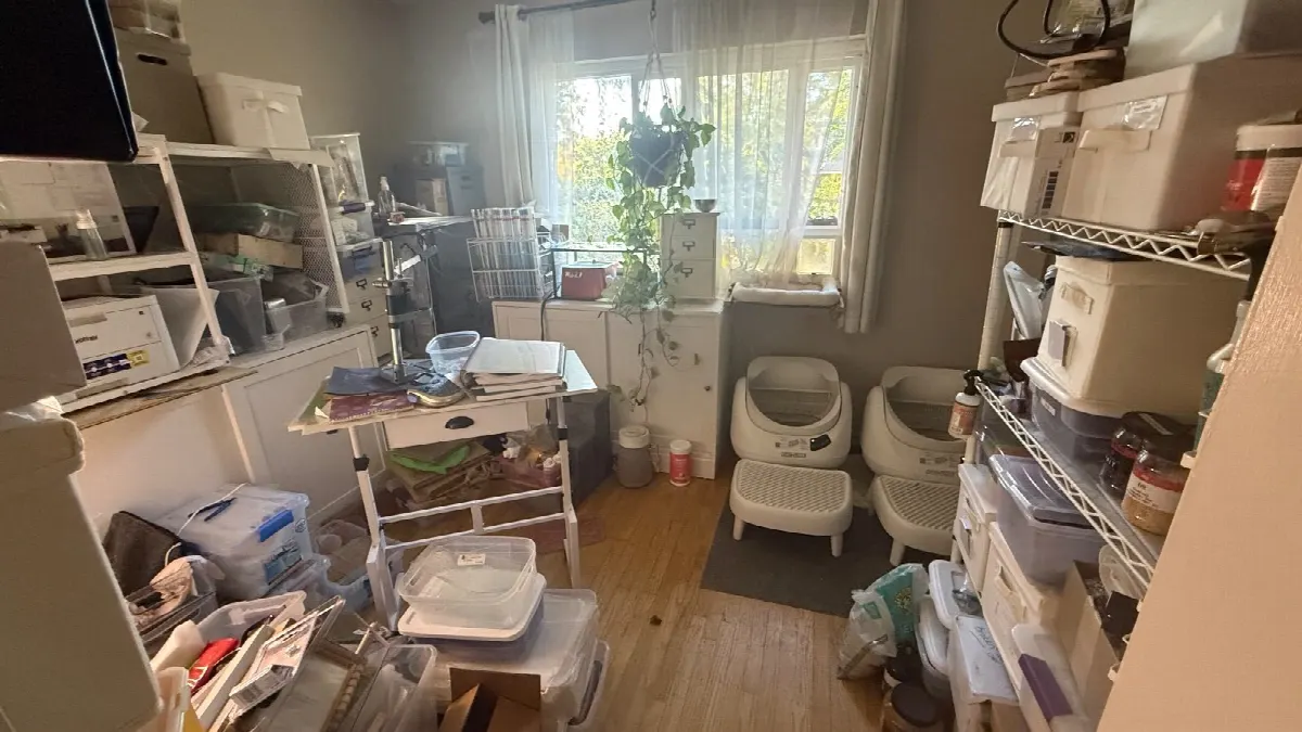 Before — House Cleaning in Davis, CA — October 2026