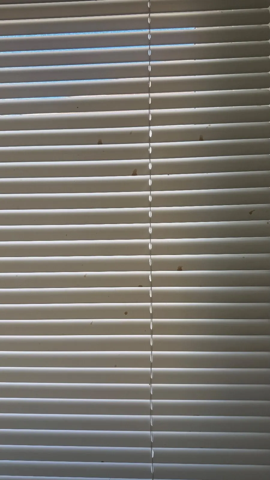 Before — House Cleaning in Davis, CA — October 2026