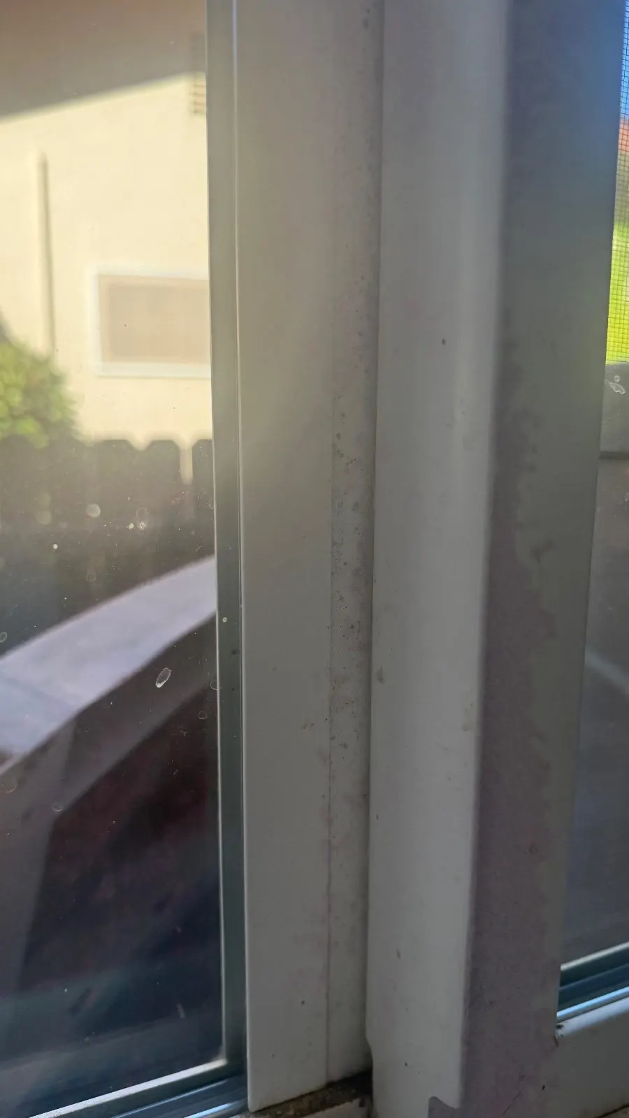 Before — House Cleaning in Davis, CA — October 2026