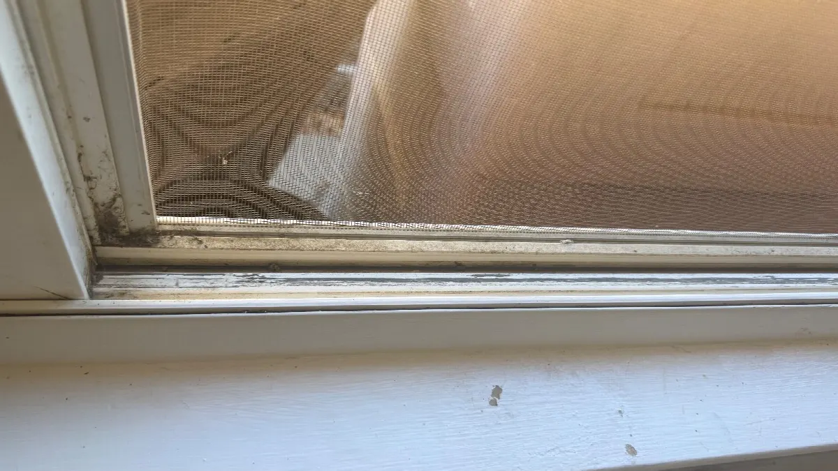 Before — House Cleaning in Davis, CA — October 2026