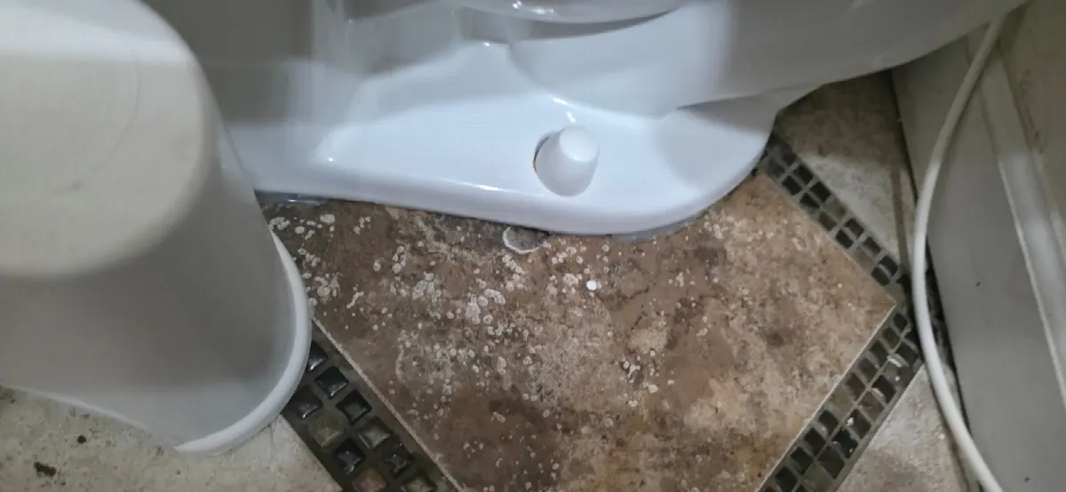 After — House Cleaning in West Sacramento, CA — October 2026