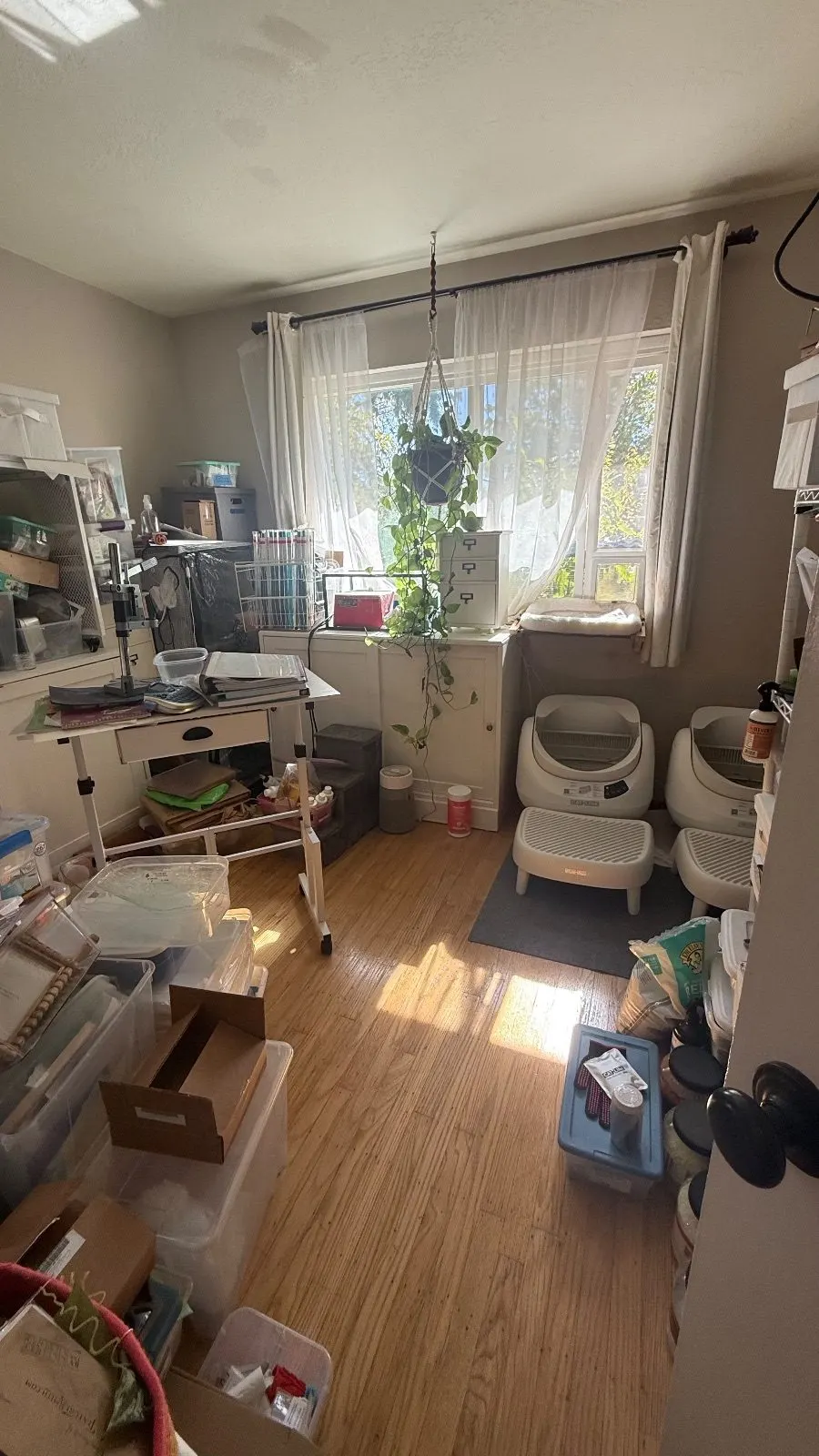 After — House Cleaning in Davis, CA — October 2026