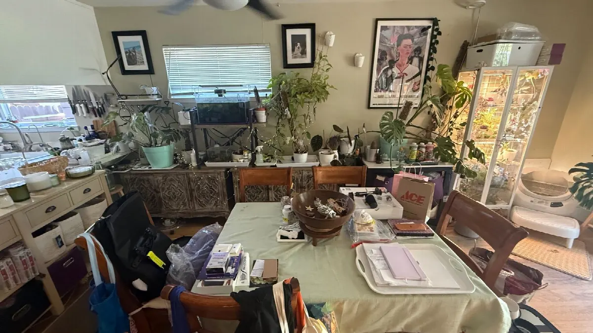After — House Cleaning in Davis, CA — October 2026