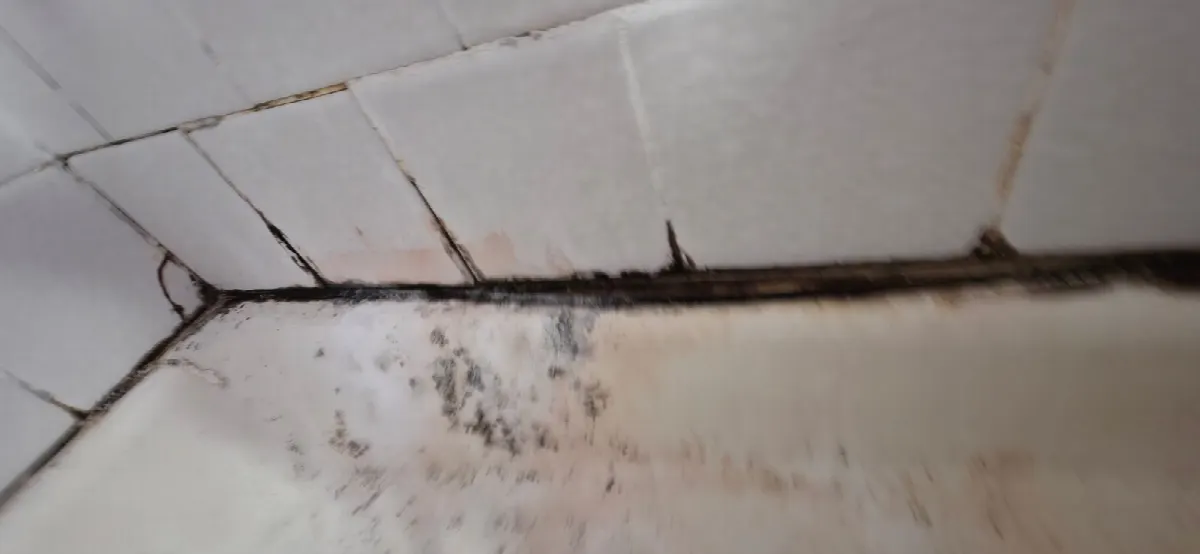 Before — House Cleaning in Fair Oaks, CA — October 2026