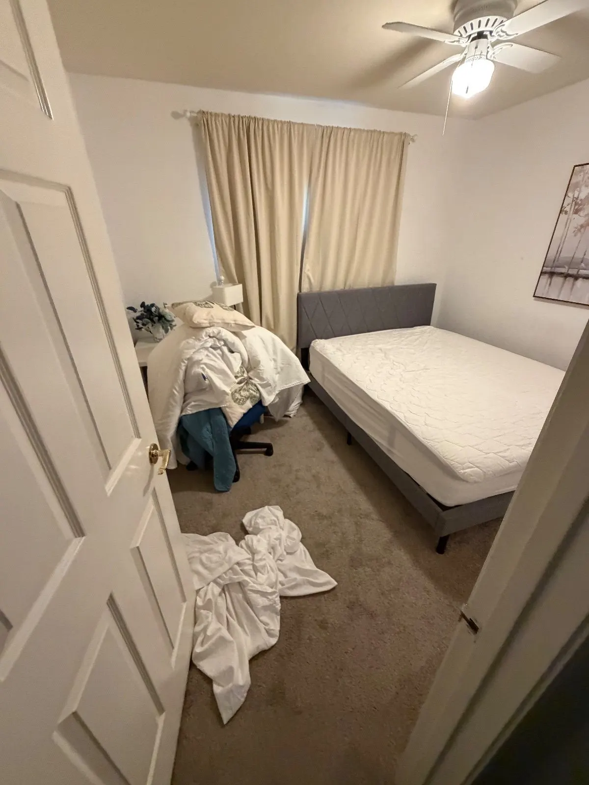 Before — House Cleaning in Folsom, CA — October 2026