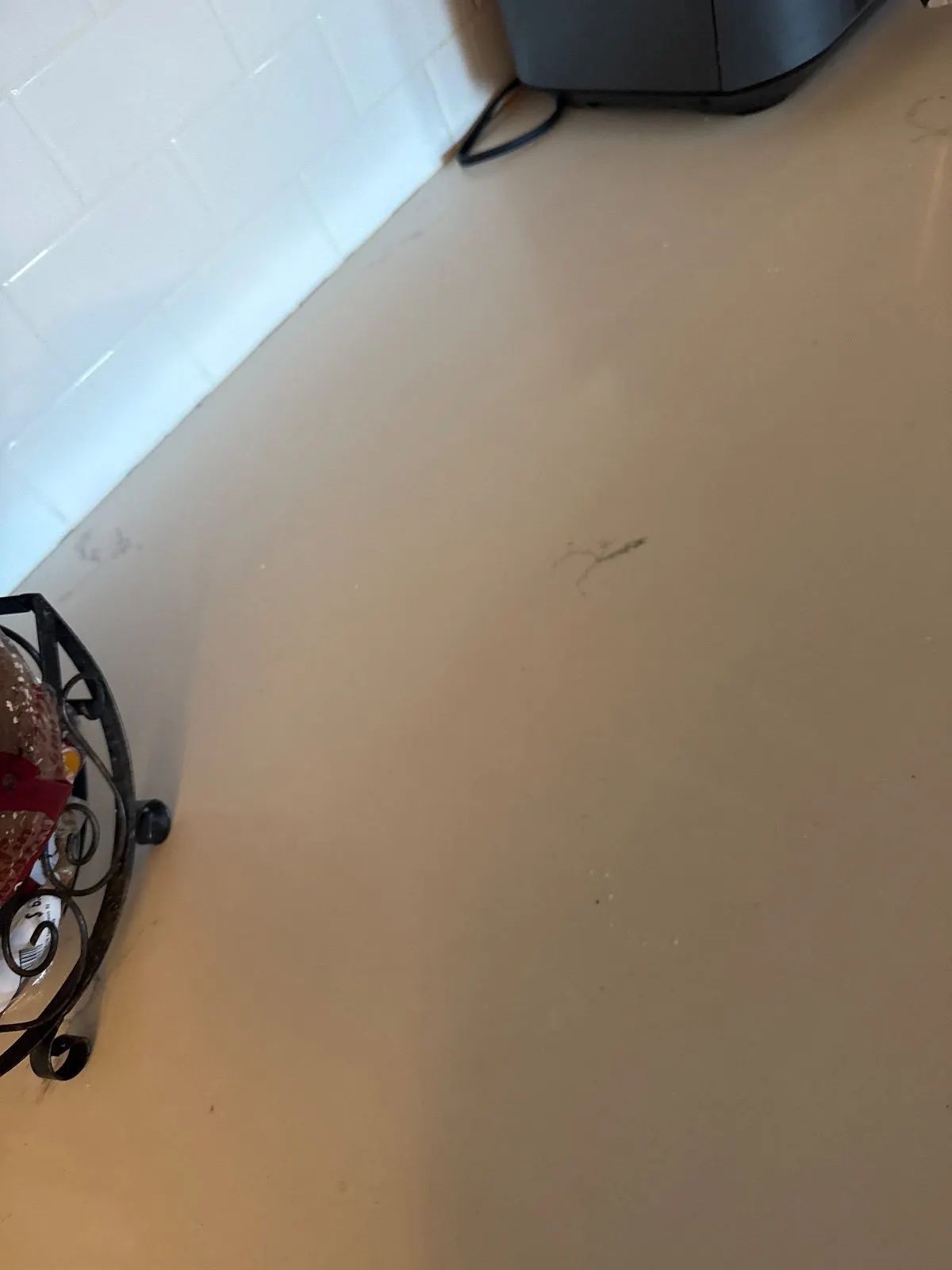 Before — House Cleaning in Lincoln, CA — October 2026