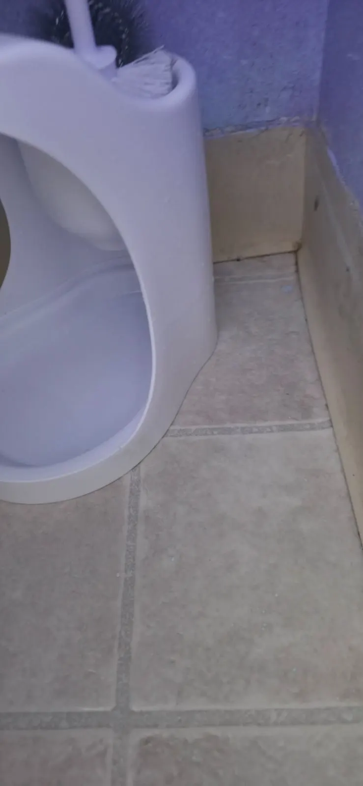After — House Cleaning in Fair Oaks, CA — October 2026