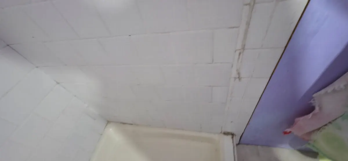 After — House Cleaning in Fair Oaks, CA — October 2026
