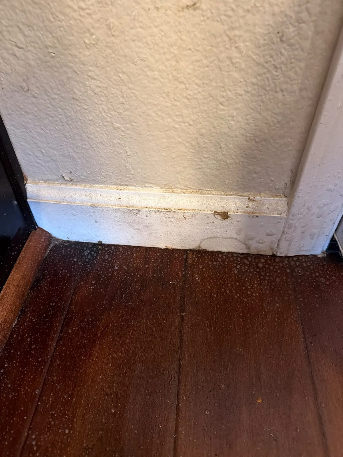 Before — House Cleaning in Lincoln, CA — October 2026