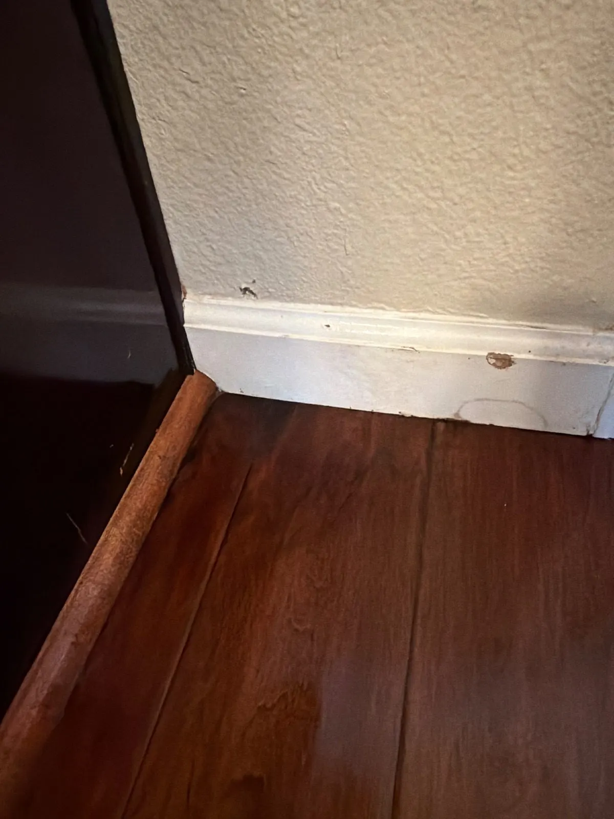 After — House Cleaning in Lincoln, CA — October 2026