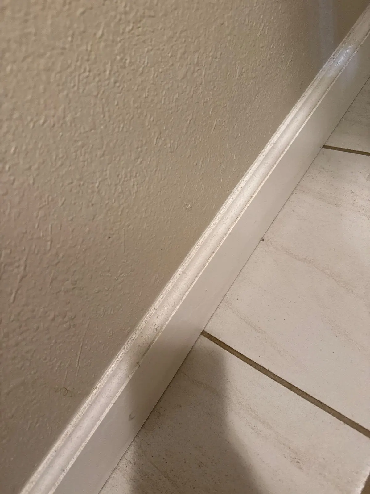 Before — House Cleaning in Lincoln, CA — October 2026