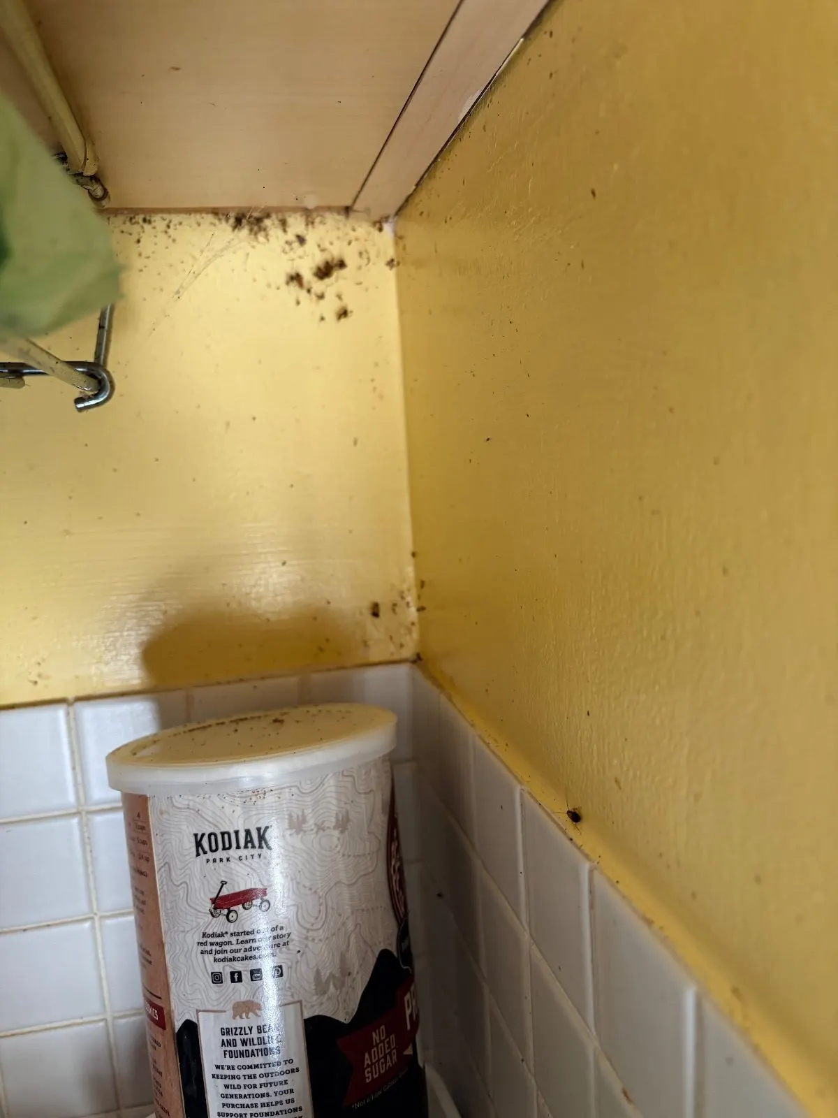 Before — House Cleaning in Woodland, CA — October 2026