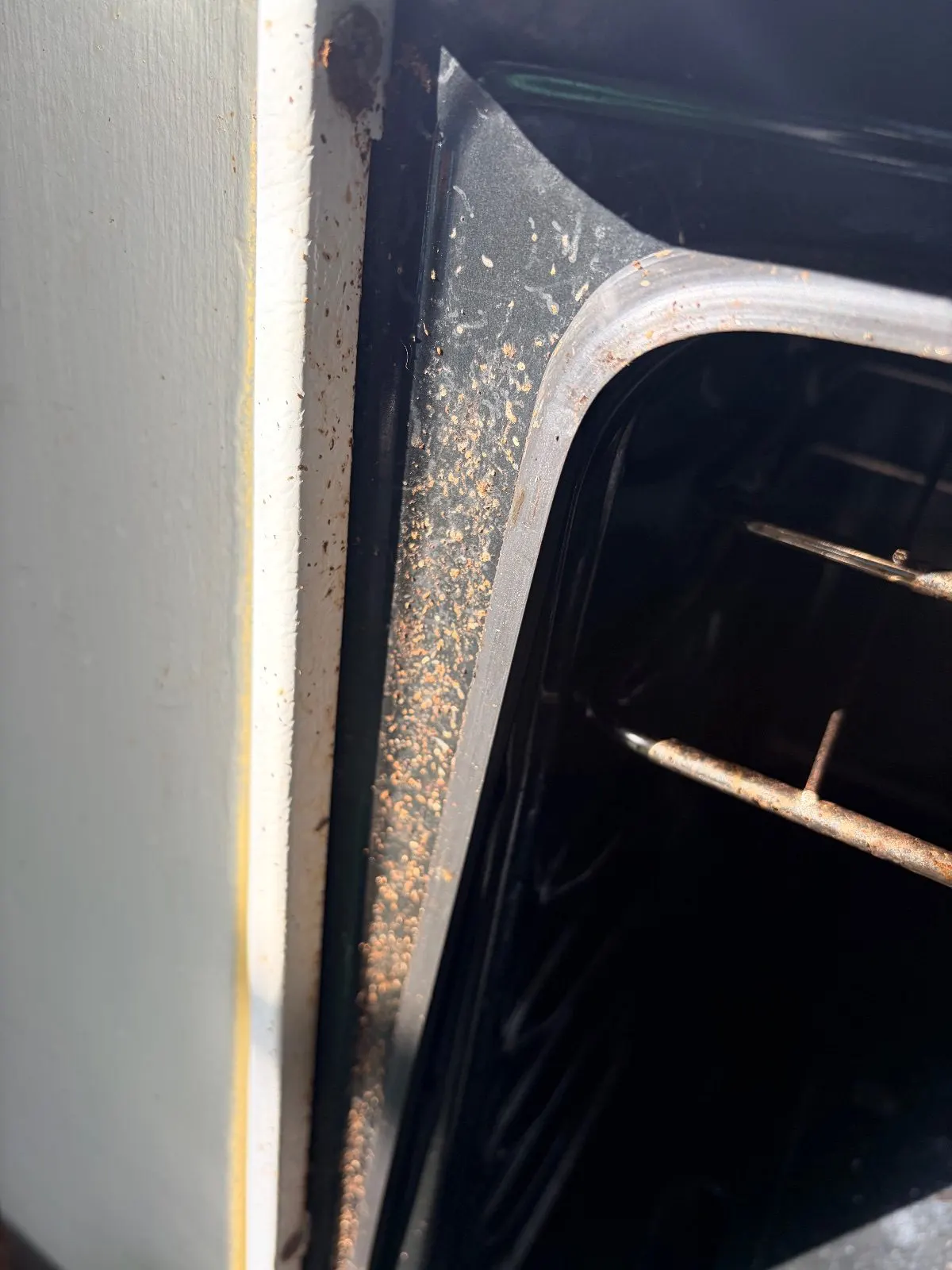 Before — House Cleaning in Woodland, CA — October 2026