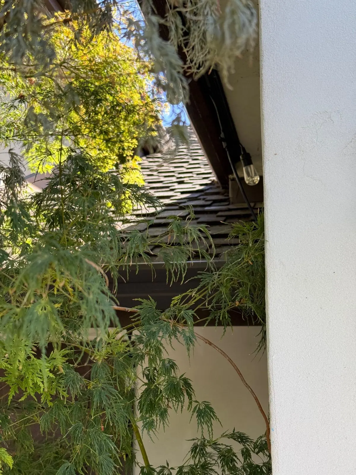 After — Lighting Installation in Sacramento, CA — October 2026