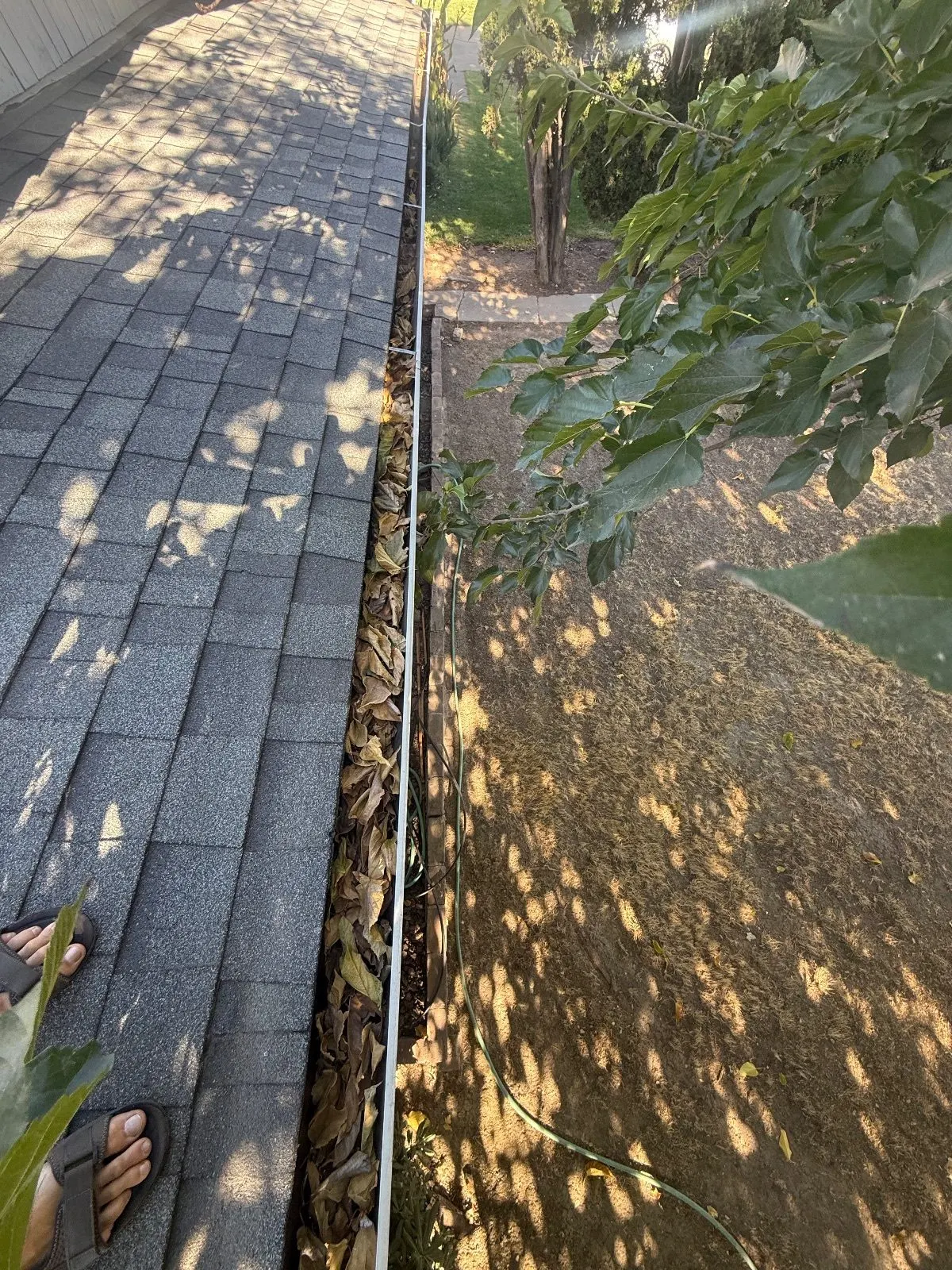 Before — Gutter Cleaning and Maintenance in Sacramento, CA — October 2026