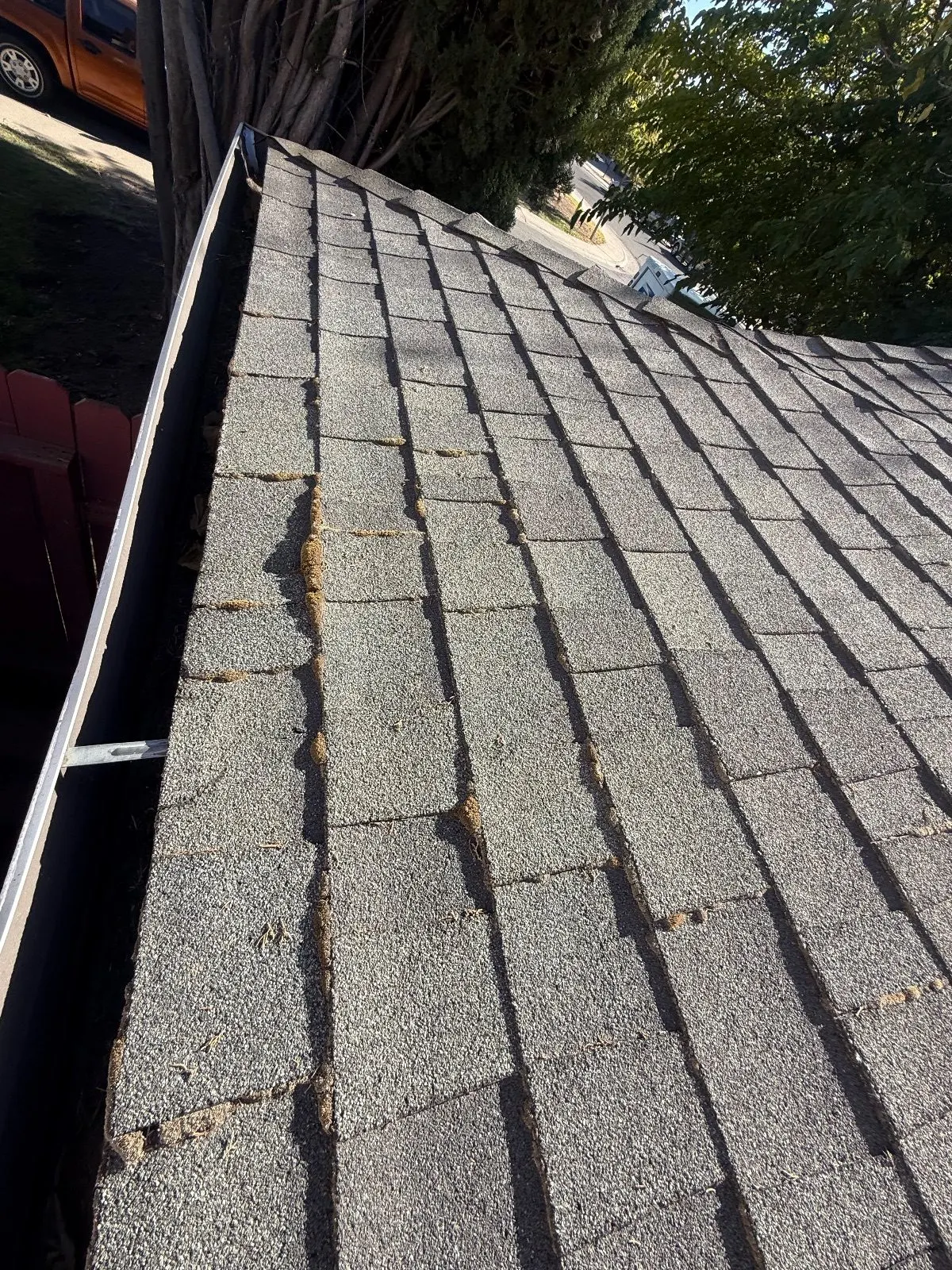 Before — Gutter Cleaning and Maintenance in Sacramento, CA — October 2026