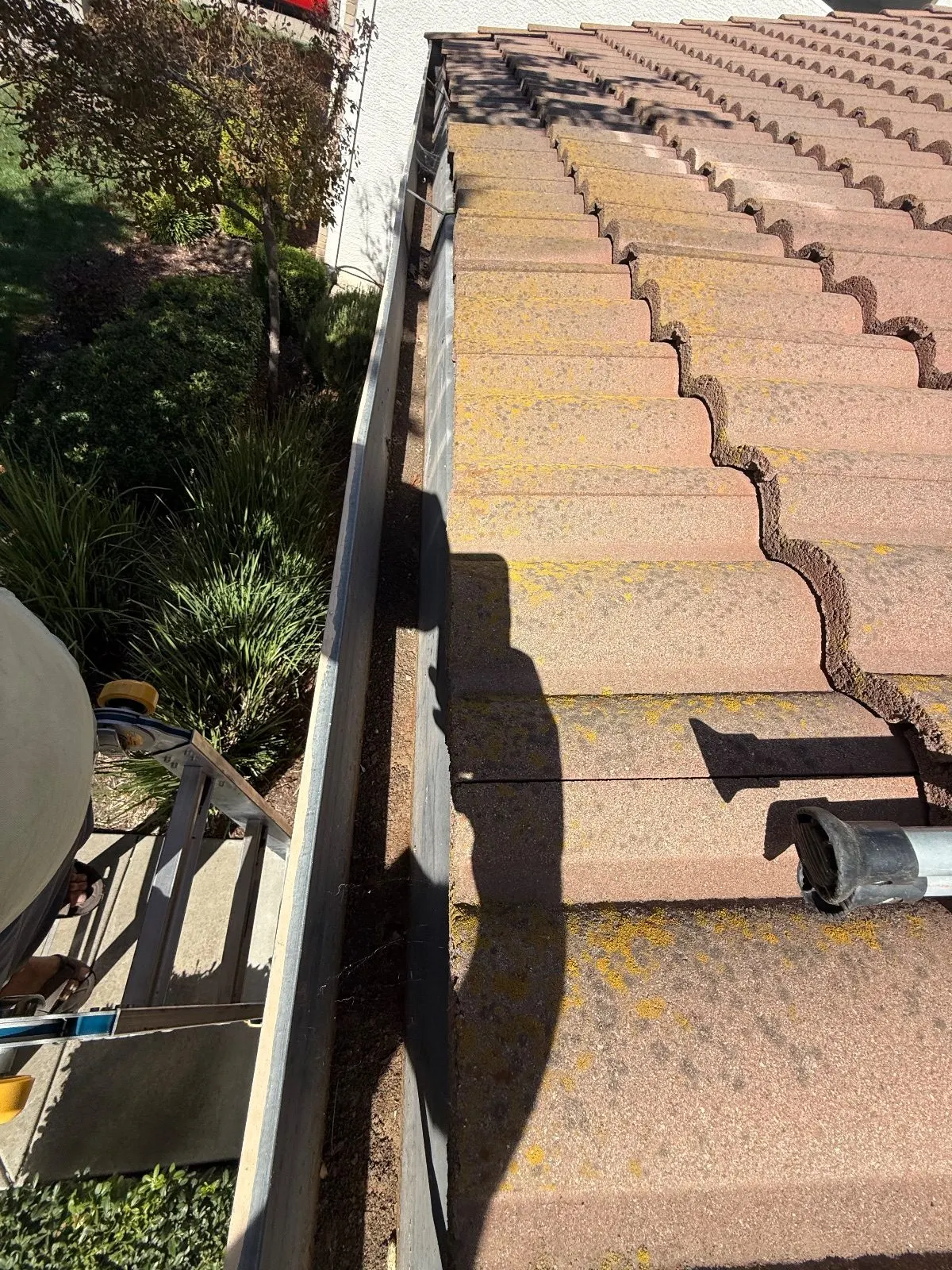 Before — Gutter Cleaning and Maintenance in Elk Grove, CA — October 2026