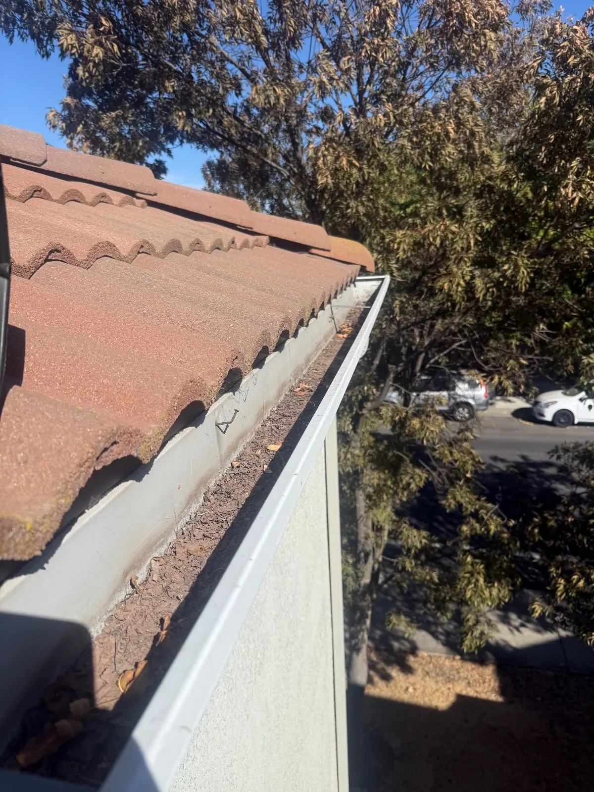 Before — Gutter Cleaning and Maintenance in Sacramento, CA — October 2026