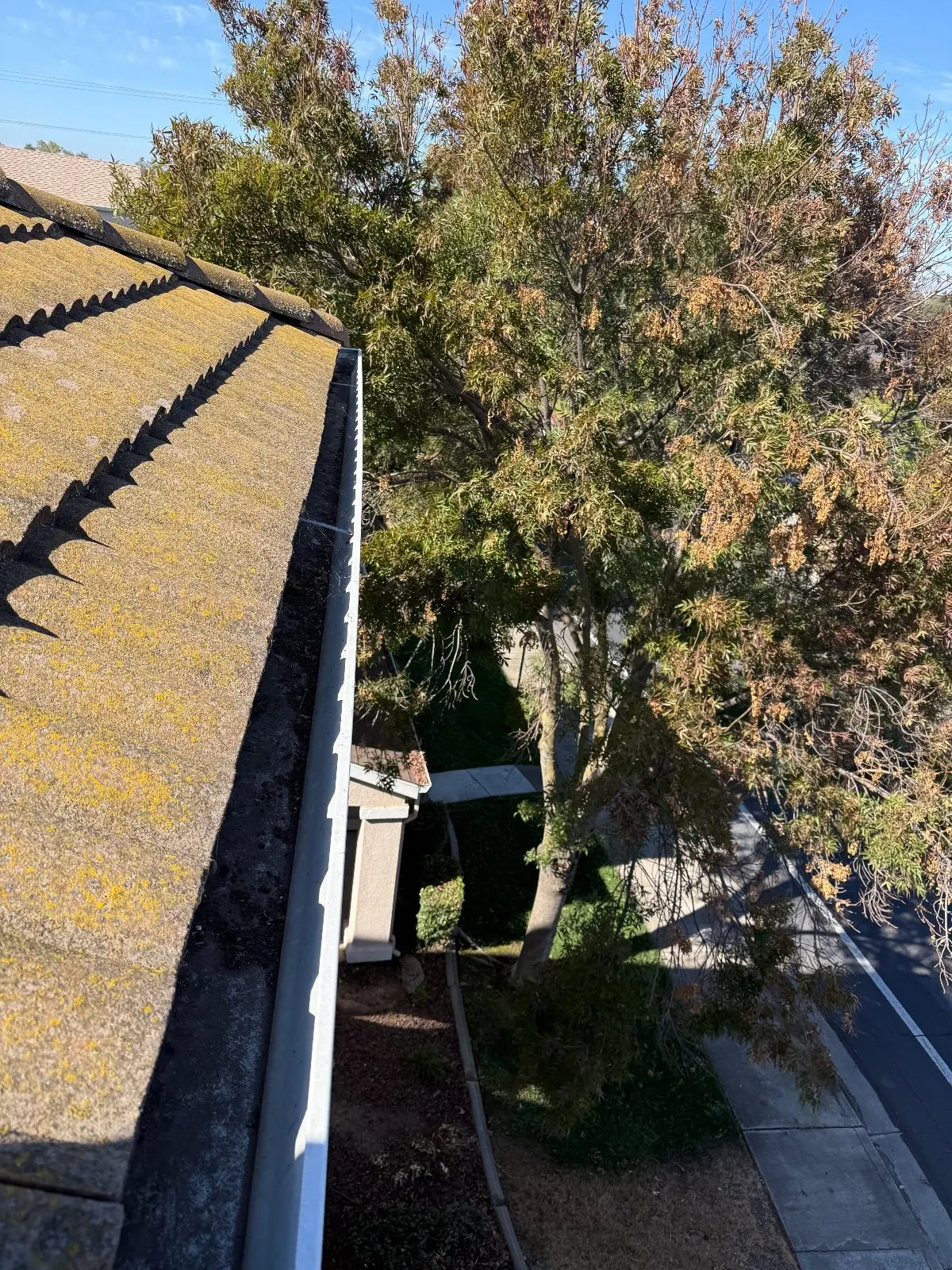 Before — Gutter Cleaning and Maintenance in Sacramento, CA — October 2026