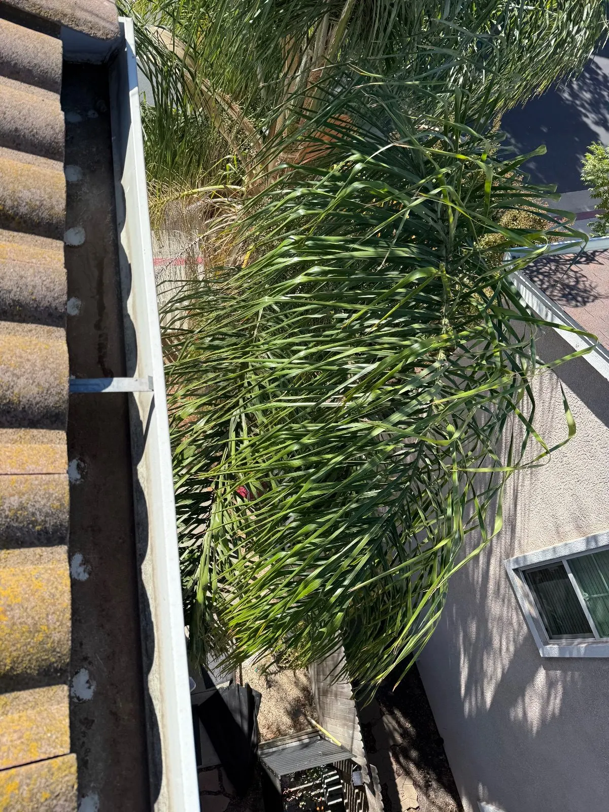 After — Gutter Cleaning and Maintenance in Sacramento, CA — October 2026