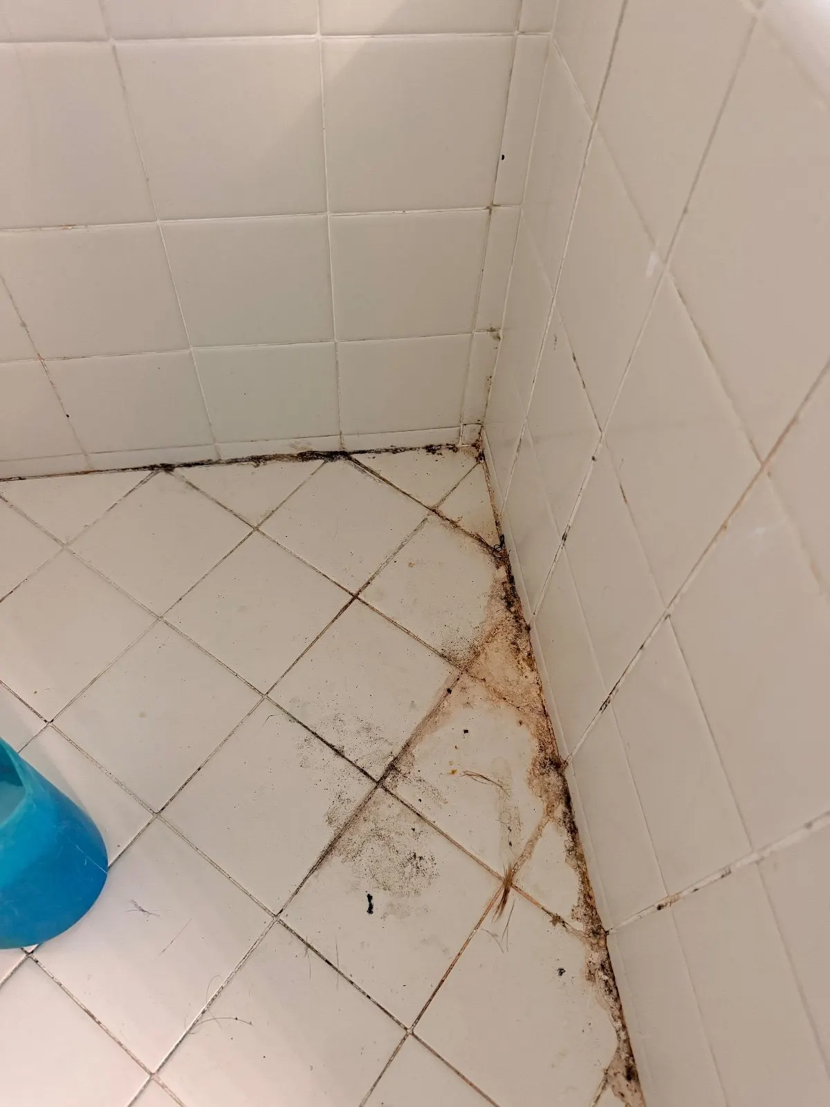 Before — House Cleaning in Rocklin, CA — July 2026