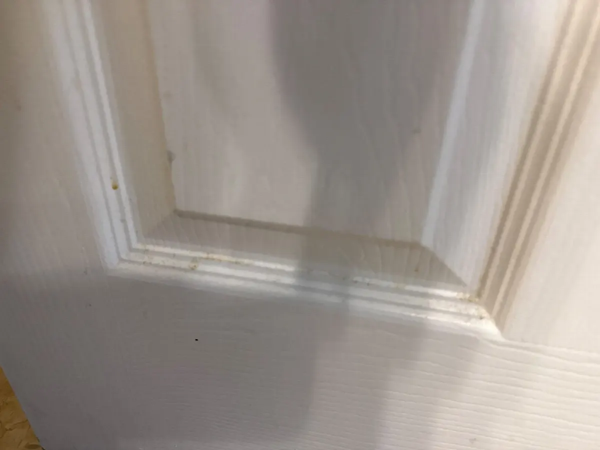 Before — House Cleaning in Folsom, CA — October 2026