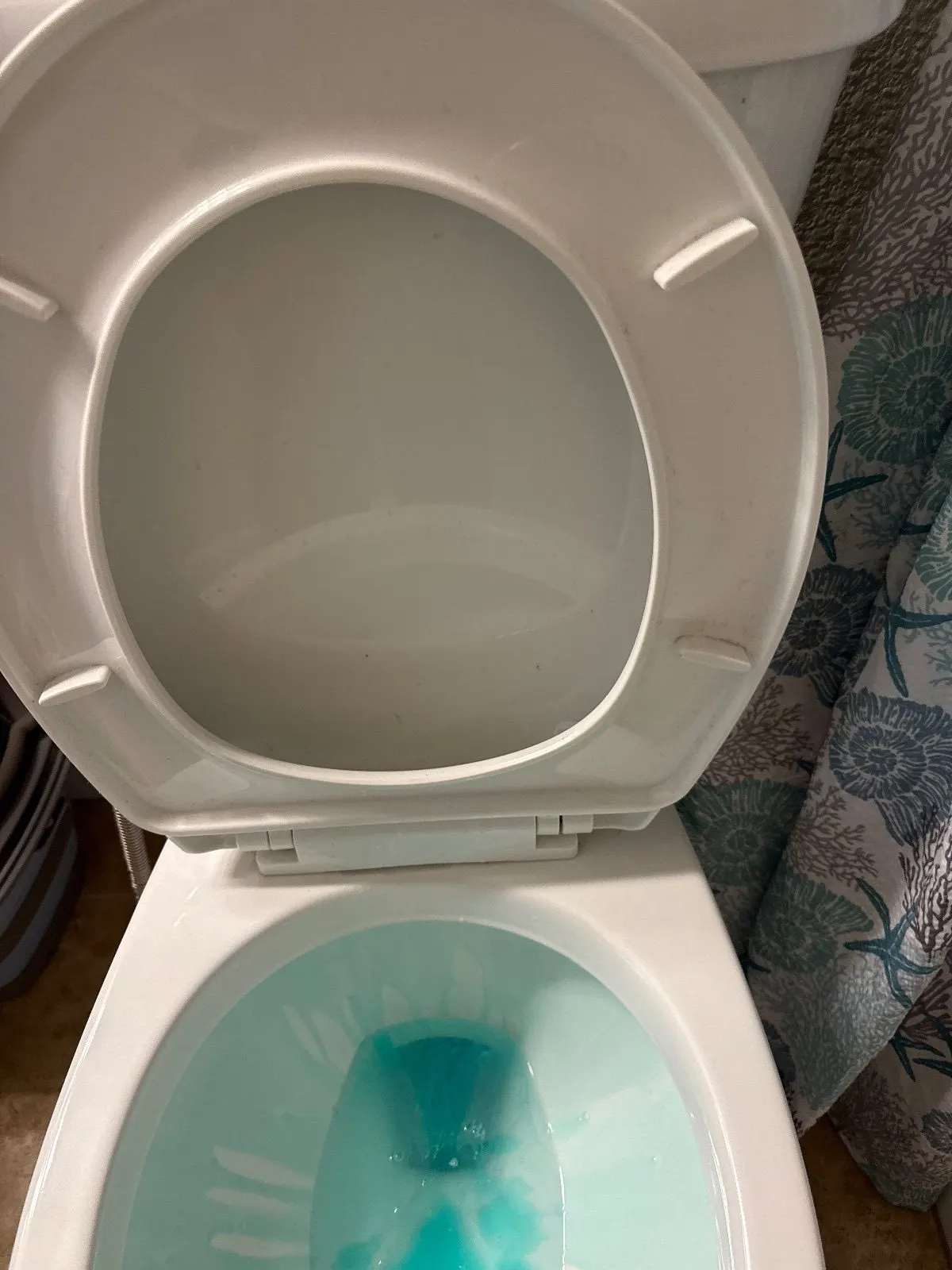 Before — House Cleaning in Folsom, CA — October 2026