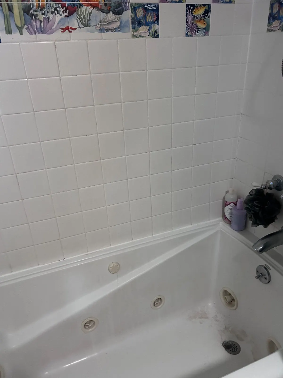 Before — House Cleaning in Sacramento, CA — October 2026